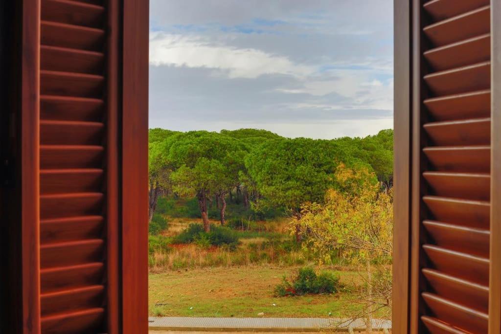 Precioso Apartamento A 700 M Del Mar Chiclana de la Frontera Εξωτερικό φωτογραφία